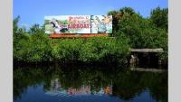 Jungle Erv’s Airboat Tours image 4